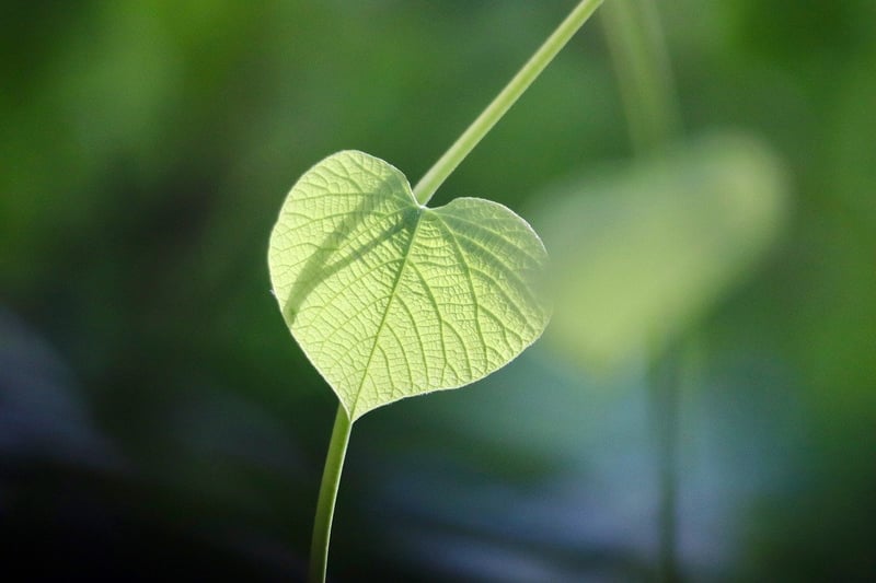 Spring Eco-Friendly Crafts